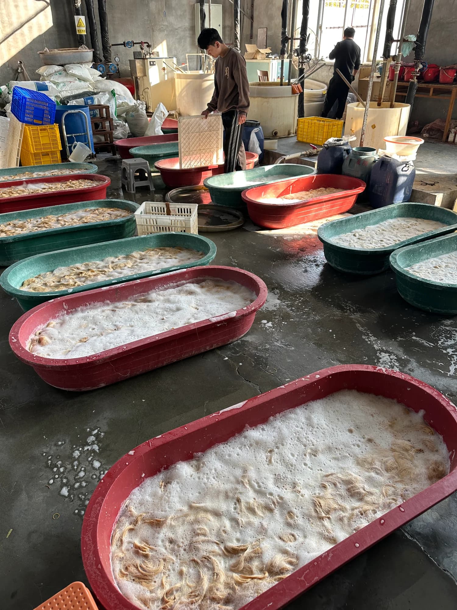 Hair lightening in DR Hair Extension's own production area, with hair in processing tubs